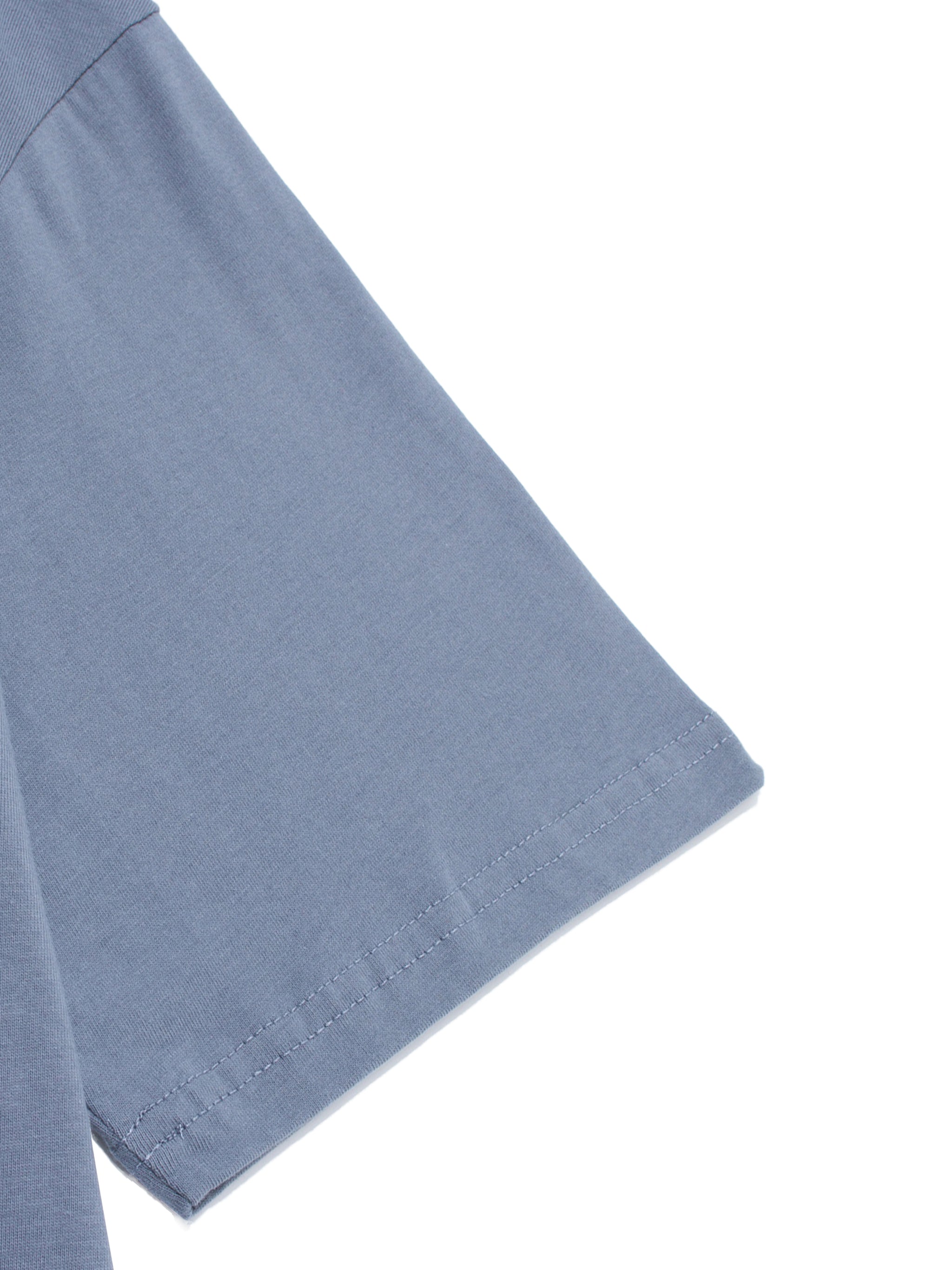 Disneyland ,Magicalchicanos 